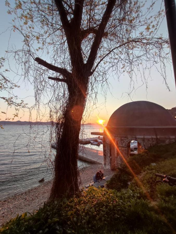 Apartment Dario Zadar Eksteriør bilde